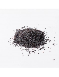 Παπαρουνόσπορος